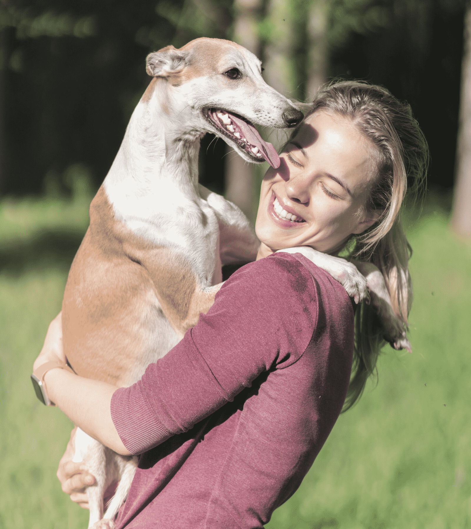 Niche Case Study Pet Services